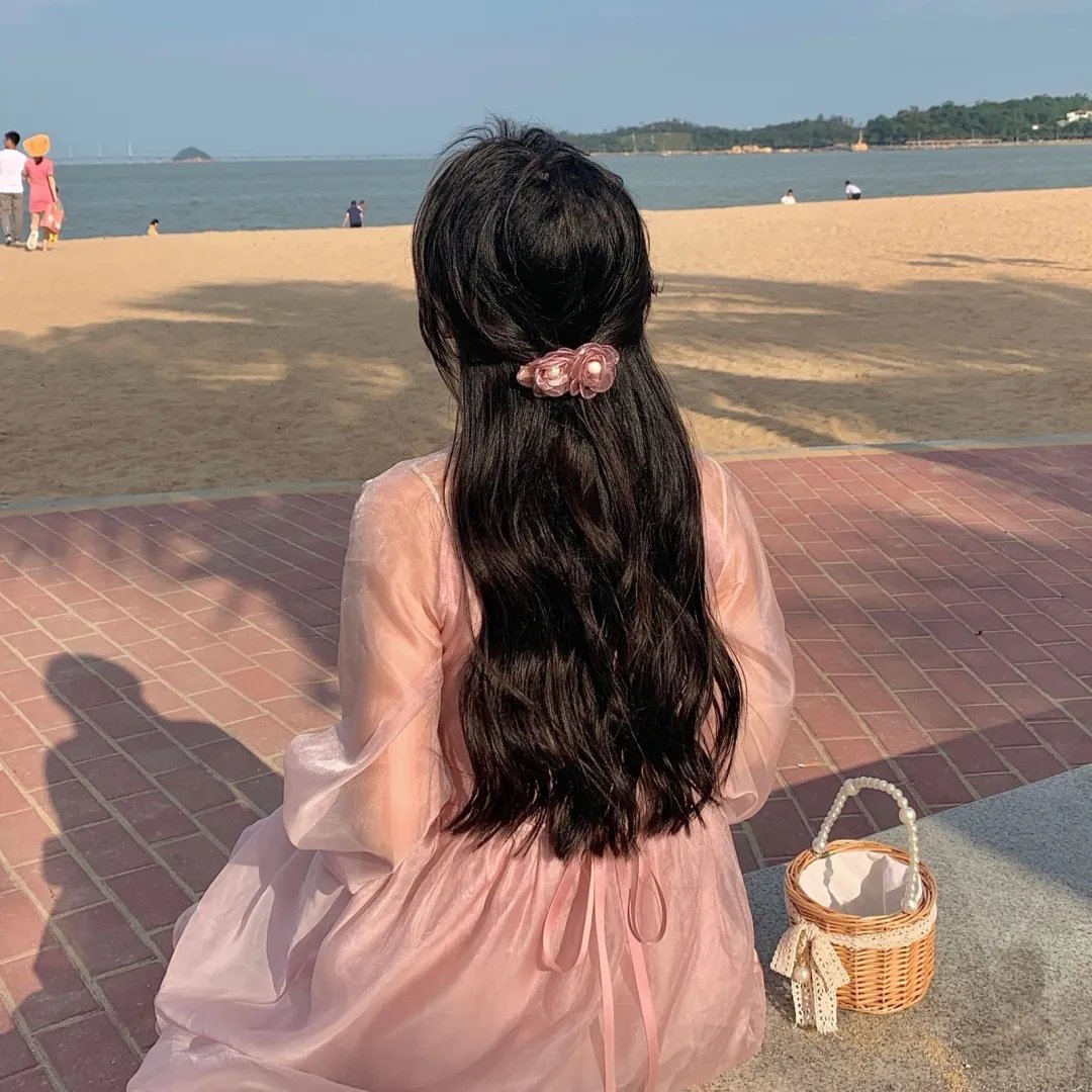 夏绿蒂的网